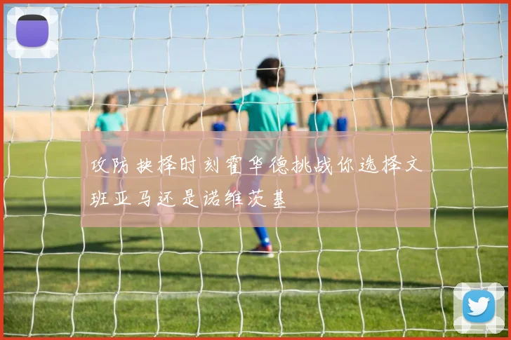 攻防抉择时刻霍华德挑战你选择文班亚马还是诺维茨基